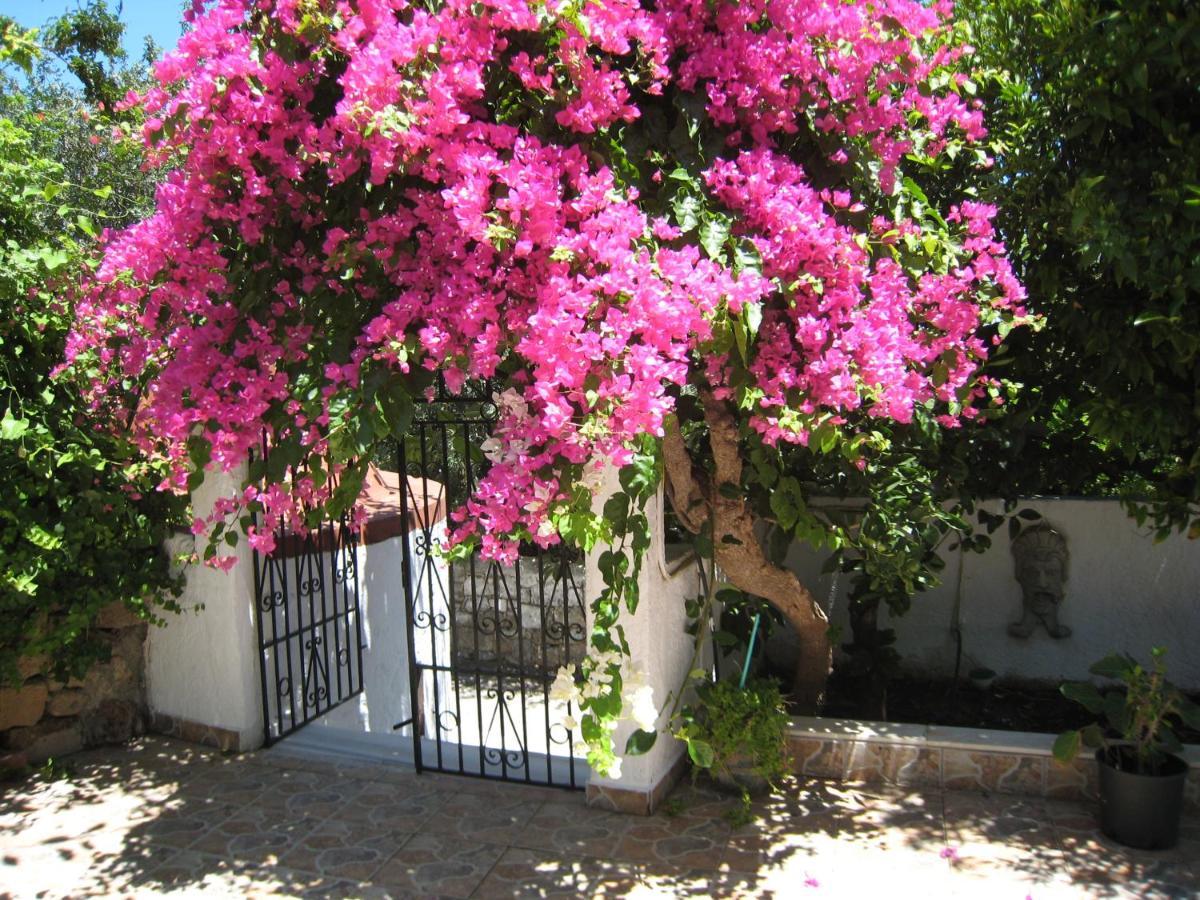 Eleftheria Lindian Studios I Lindos  Extérieur photo