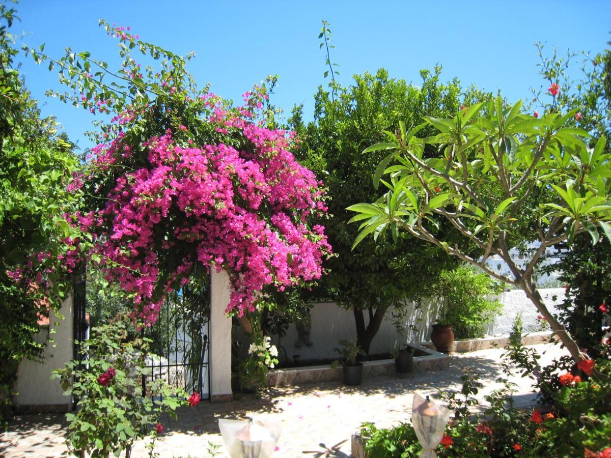 Eleftheria Lindian Studios I Lindos  Extérieur photo